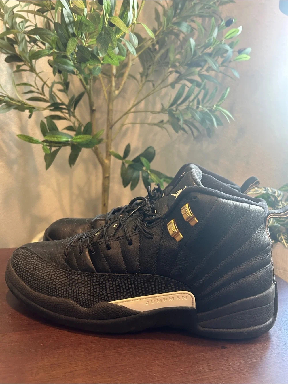 Air Jordan 12 Retro 
